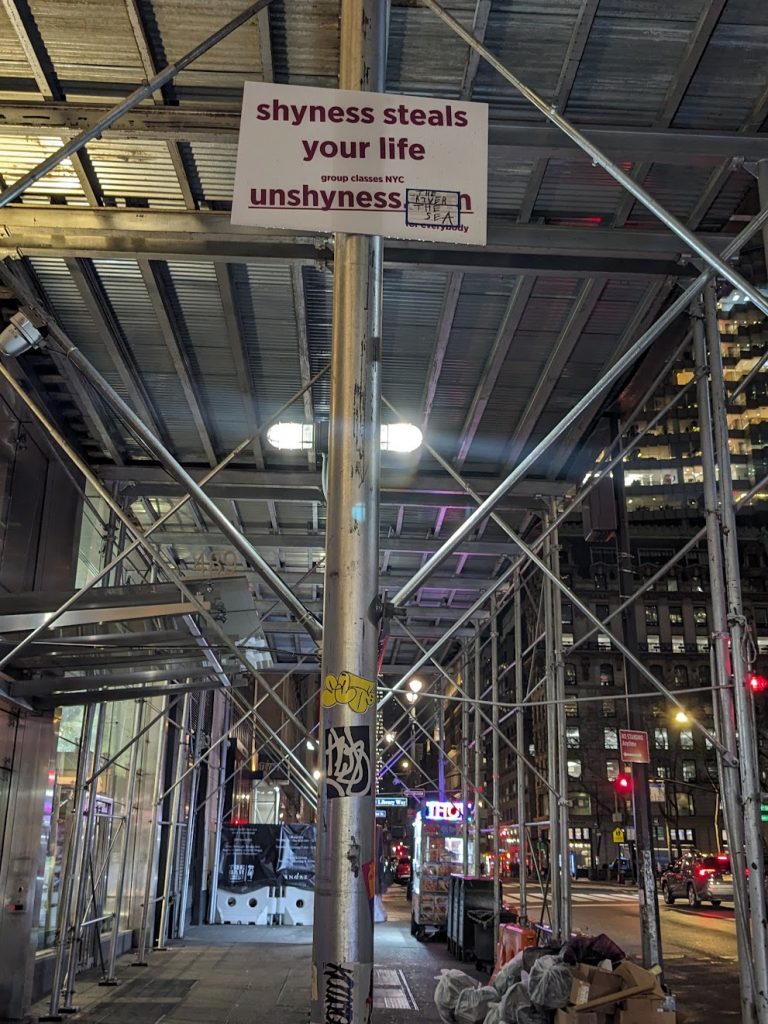 A sign on metal pole that reads "shyness steals your life."